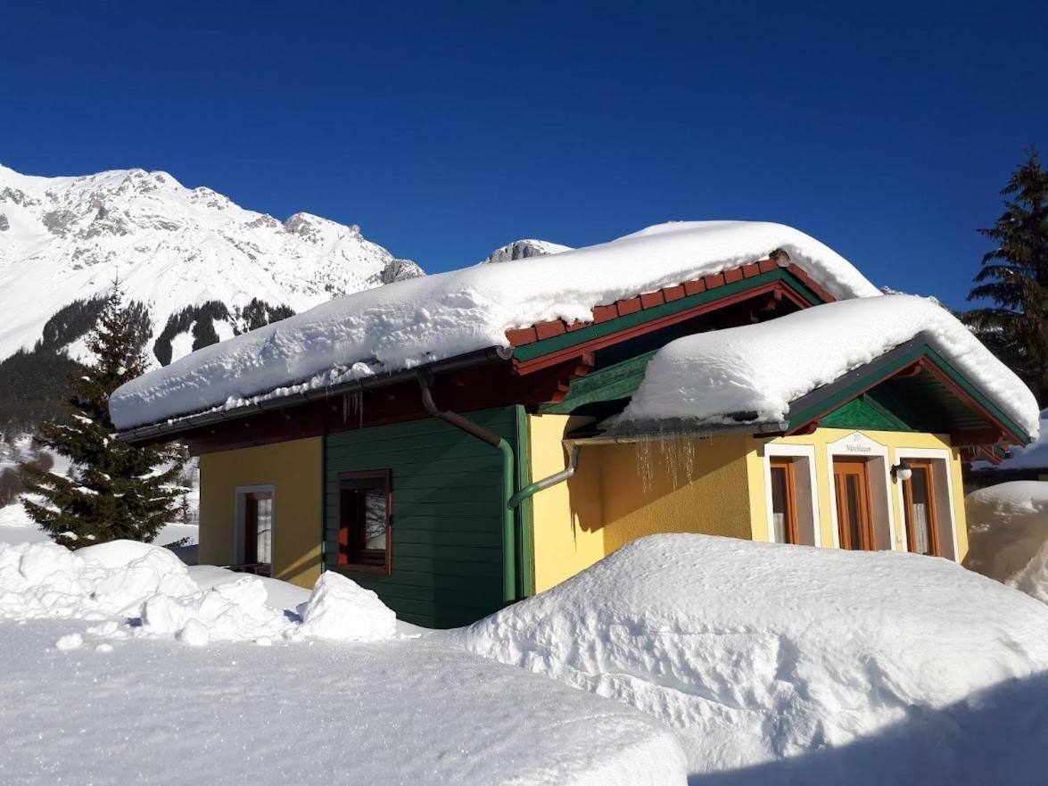 Ramsauer Sonnenalm Villa Ramsau am Dachstein Bagian luar foto